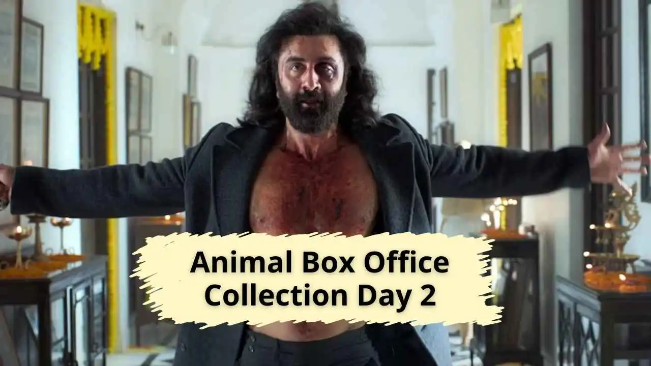 Animal Box Office Collection Day 2