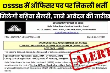 DSSSB Section Officer Recruitment 2023