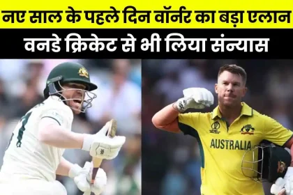 David Warner Quit ODIs